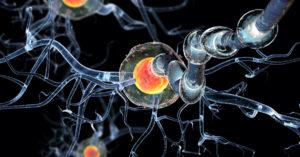 Repertoire Immune Medicines Enters Collaboration with Yale to Research Multiple Sclerosis Novel Antigen Discovery T Cell Receptors