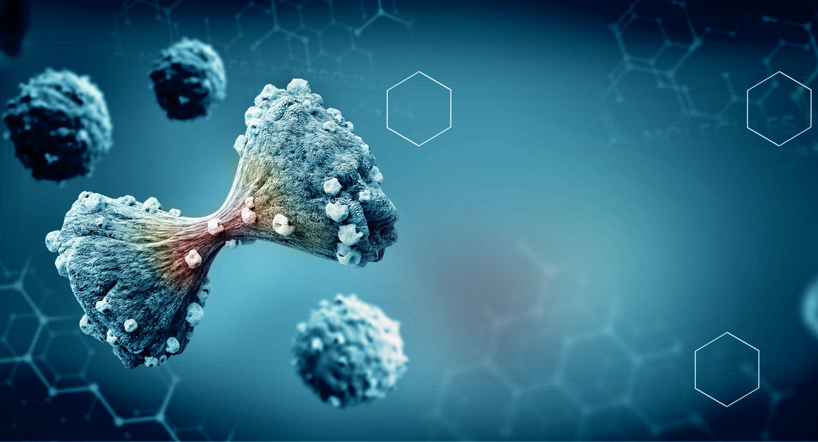 Indapta Therapeutics Announces Data Demonstrating G-NK Cells Enhance Efficacy in Multiple Myeloma