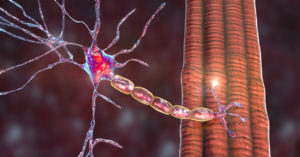 Capricor Therapeutics To Present Final HOPE-2 Trial CAP-1002 Data for Late-Stage Duchenne Muscular Dystrophy (DMD)