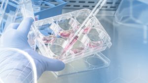 Legend Biotech Appoints Dr Guowei Fang Head of Global Research and Early Development